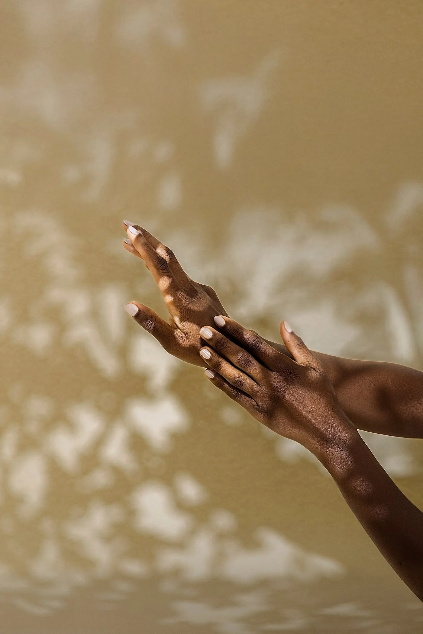 Blush Collection - Image 9